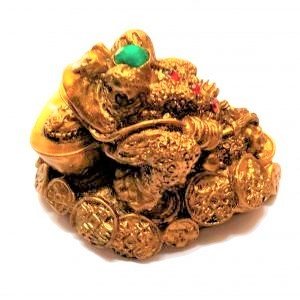 luckyfrog-jyotishshop