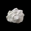 286b 100x100