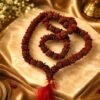 bigbeads-5-mukhi-rudraksha-mala-jyotishshop