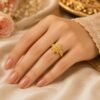 New Brass Meru Ring Jyotishshop 1 100x100