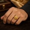 New Brass Meru Ring Jyotishshop 2 100x100