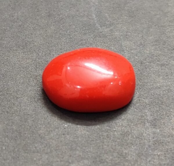 Coral Munga Jyotishshop 600x571