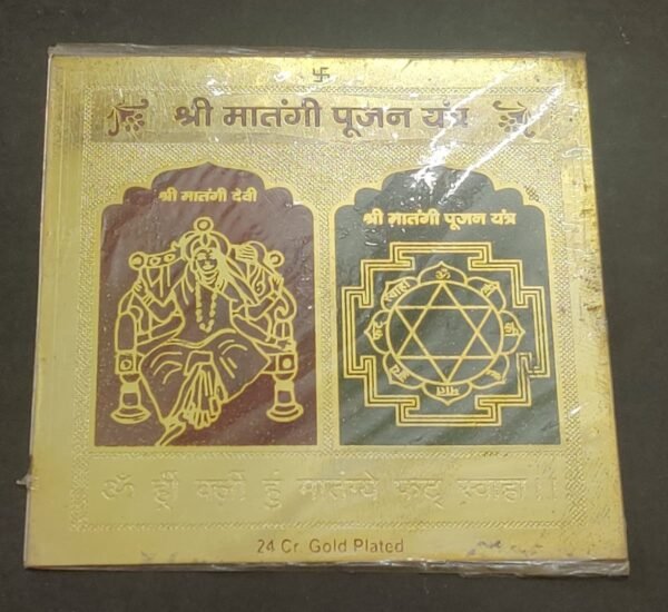 Maatangi Yantra Jyotishshop 600x550