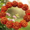 bigsize-5-mukhi-rudraksha-bracelet-jyotishshop Bigsize 5 Mukhi Rudraksha Bracelet Jyotishshop 100x100