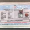 gomed_stone_1_jyotishshop_1 Gomed Stone 1 Jyotishshop 1 100x100