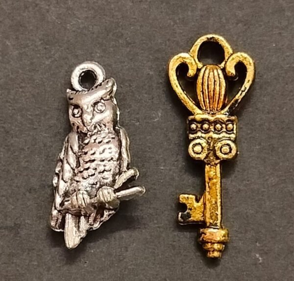 Owl Money Key Locket Jyotishshop 600x572