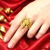 Panchdhatu Meru Ring Jyotishshop 2 100x100
